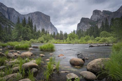 The Merced River At Valley View In Spring Yosemite National Park