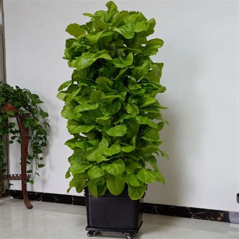 Dropship Home Garden Indoor Stackable Layers Plant Sites