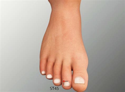 St 44 Neiting Stomach Meridian Acupuncture Point Acumeridianpoints