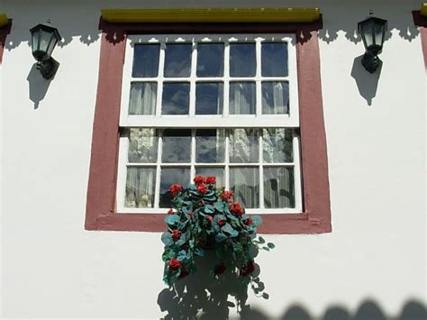 A Potted Plant Sitting In Front Of A Window On The Side Of A Building