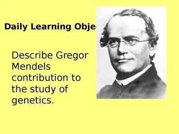 Monohybrid Dihybrid Sex Linked Multiple Alleles Presentation