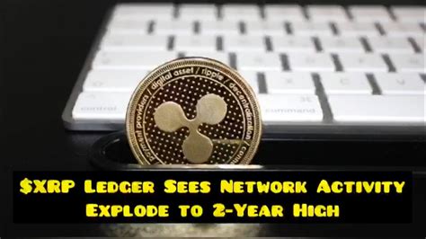 Xrp Ledger Sees Network Activity Explode To Year High Youtube