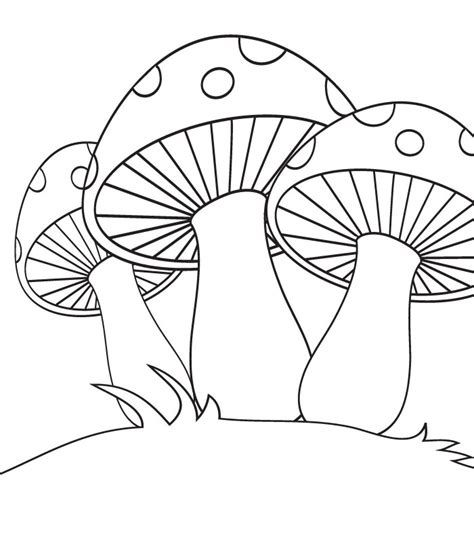 Mushroom Fall Coloring Pages Coloring Pages