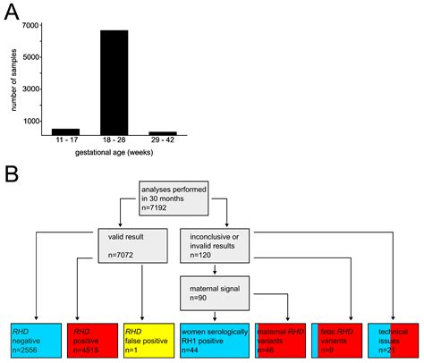 Fetal Rhd Screening In Rh Negative Pregnant Women Experience In