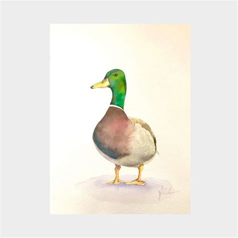 Mallard Duck Watercolor Painting, Original Watercolor, Watercolor Duck ...