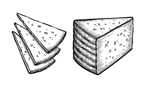 Esbo O De Tinta De Queijo Manchego Vetor Premium