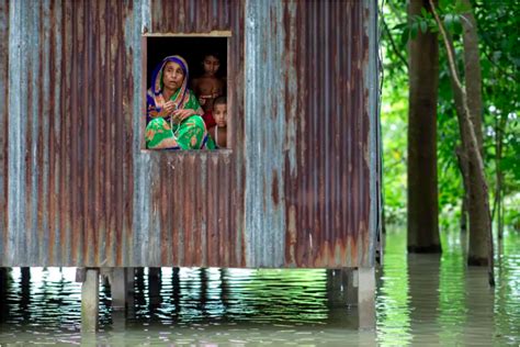 Womens Participation Is Crucial To Fight Climate Change Pursuit By