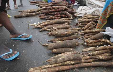 Anapix Umdumbulu Traditional African Food African News Agency