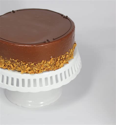 Chocolate Hazelnut Mousse Cake | Thyme & Again