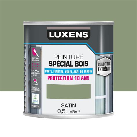 Peinture Ext Rieure Bois Mdf Osb Conditions Extr Mes Luxens Vert