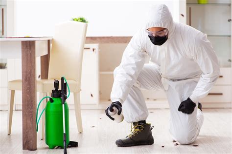 Three Key Factors To Consider When Hiring A Pest Control Company