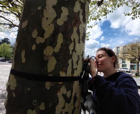 Urban heat island cooling in Geneva ‒ PERL ‐ EPFL