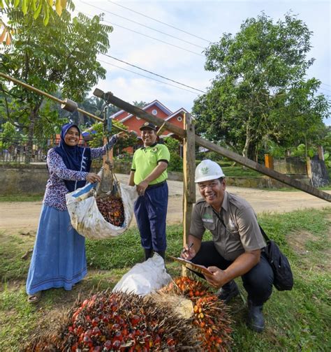 Asian Agri Menjadi Referensi Keberhasilan Kemitraan Petani Kantor