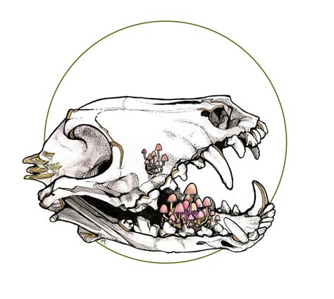 Red Fox Skull Etsy