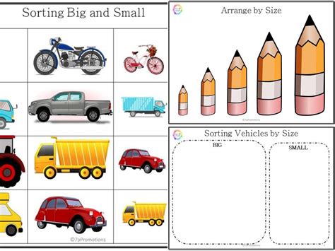 Size Sorting Activities Pdf Learnwithaanshi®