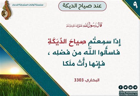 أوقات استجابة الدعاء 9 عند صياح الديكة شبكة بينونة للعلوم الشرعية