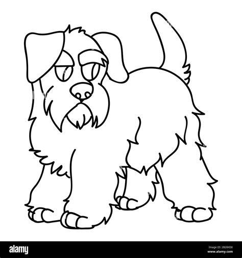 Lindo Dibujo Animado Monocromo Schnauzer Cachorro Perro Raza Lineart