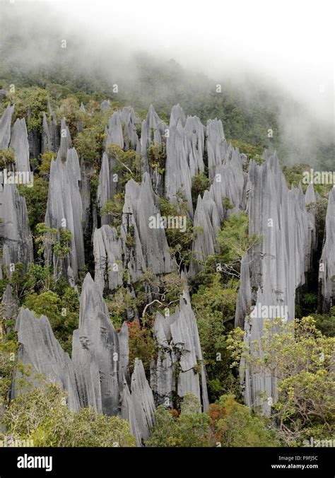 Gunung Mulu National Park Hi Res Stock Photography And Images Alamy