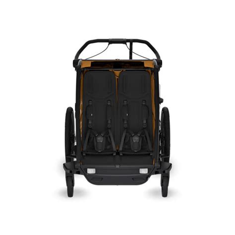 Remorque V Lo Enfant Thule Chariot Sport Cyclable