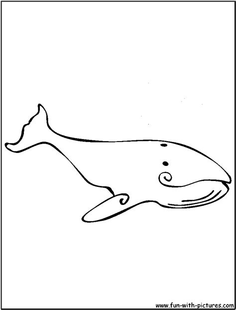 Humpback Whale Coloring Page