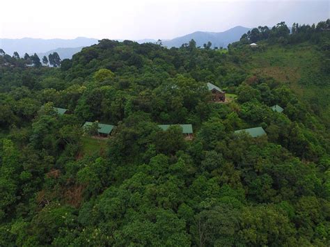 Clouds Mountain Gorilla Lodge Nkuringo Sector Bwindi Forest