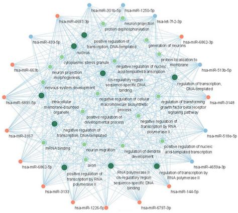 Ijms Free Full Text Analysis Of Microrna Signature Differentially