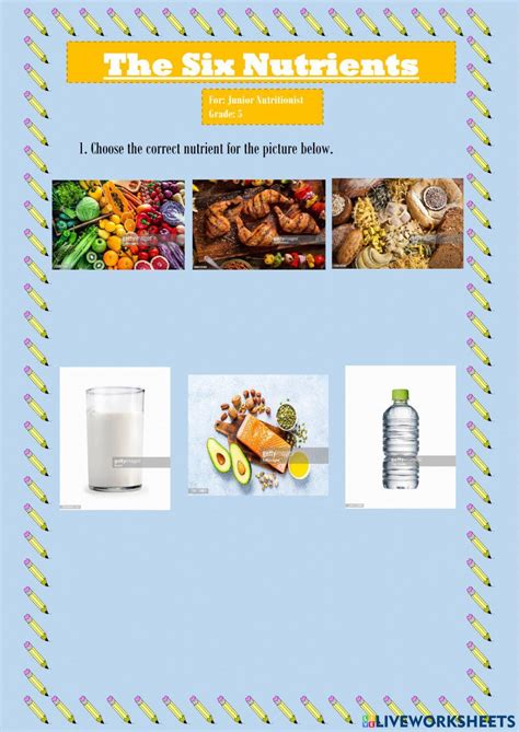 Junior Nutritionist Live Worksheet Nutrients Online Exercise For