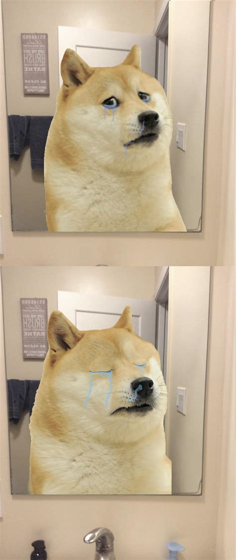 doge is funny ;) : r/sadbuddyretard