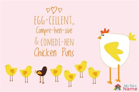 98 Chicken Puns: Egg-cellent, Compre-hen-sive & Comedi-hen Puns