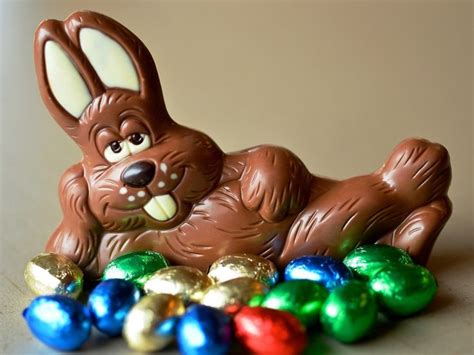 Gagnez Un Lapin De Pâques Géant En Chocolat De 26 Livres Easter Bunny