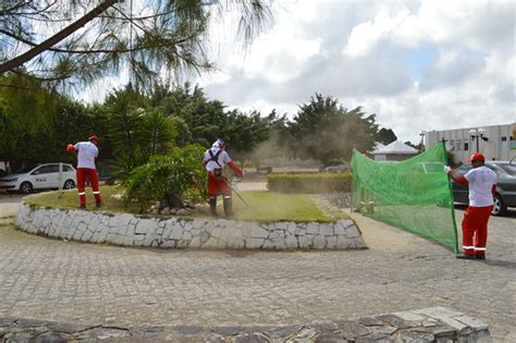 Dia Do Voluntariado Hospital Napole O Laureano