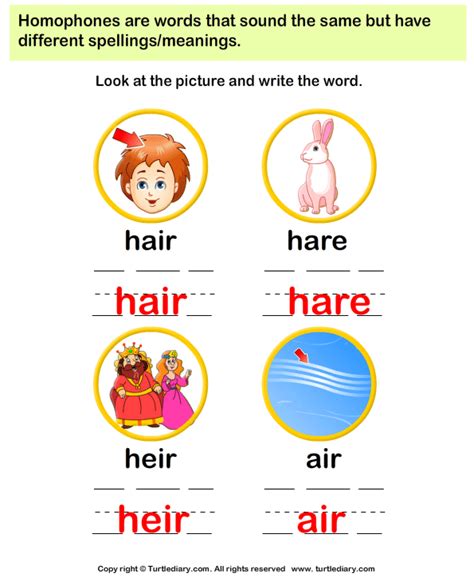 Homophones Worksheets Have Fun Teaching Homophones Worksheets