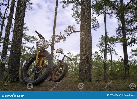 Two Mountain Bikes With Helmets In The Forest Stock Photo Image Of