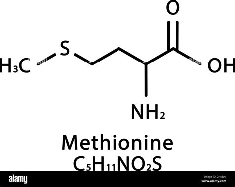 Estructura Molecular De La Metionina F Rmula Qu Mica Esquel Tica De