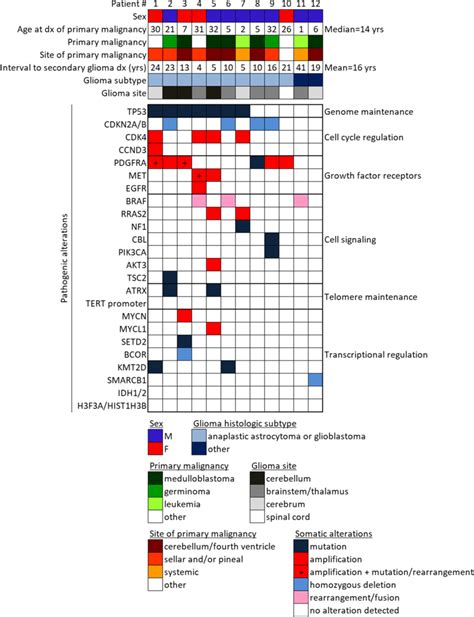 Oncoprint Summary Table Of The Patients With Secondary Gliomas