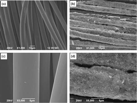 SEM Images Of A C Pure Carbon Cloth And B D MoSe2