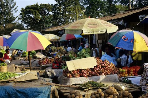 Fort Portal travel | Uganda, Africa - Lonely Planet