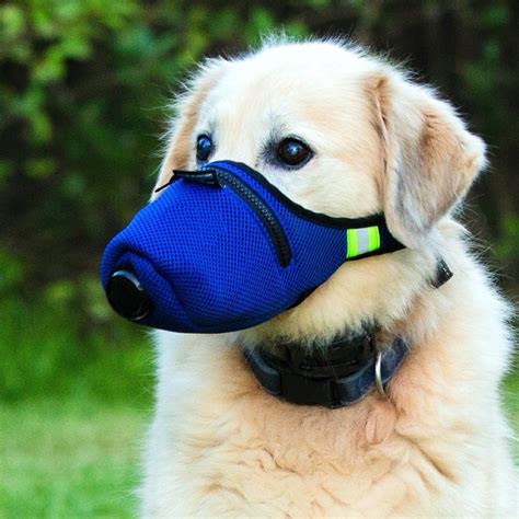 K9 Mask® Air Filter Mask For Dogs Medium K9 Mask Touch Of Modern