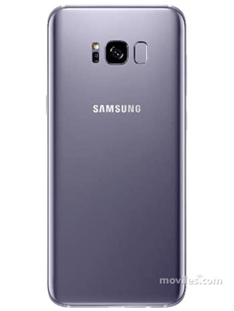 Samsung Galaxy S8 Características Y Precios De Febrero 2025