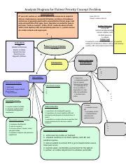 Case Study 5 Docx Analysis Diagram For Patient Priority Concept