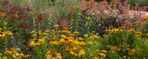 Getting Started in Ornamental Gardening