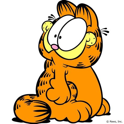 Foto Do Gato Garfield LIBRAIN