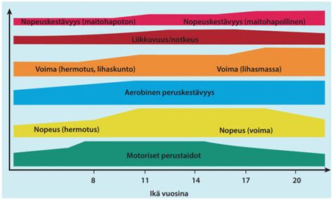 Ominaisuuksien Kehittyminen Lasten Ja Nuorten Suunnistussivusto