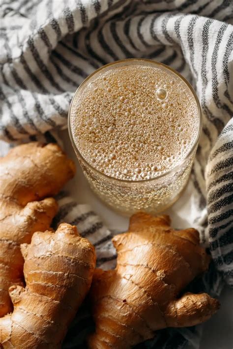 ginger bug soda recipes