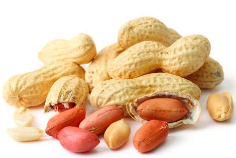 Roasted Peanuts in Shell • Bulk Peanuts • Bulk Nuts & Seeds • Oh! Nuts®