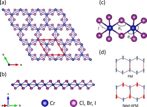 Atomic Structure Of Monolayer Crx X Cl Br I A Top View And B