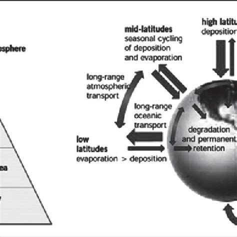 Fate of POPs in environment. | Download Scientific Diagram