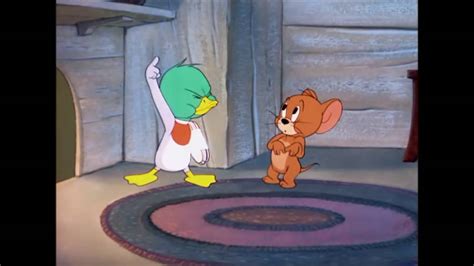 Tom And Jerry The Duck Doctor Youtube