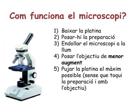 L Estada Al Laboratori Ppt