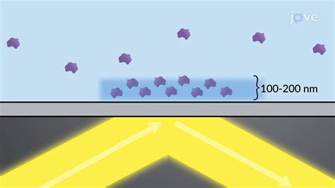 Total Internal Reflection Fluorescence Microscopy | Cell Biology | JoVe